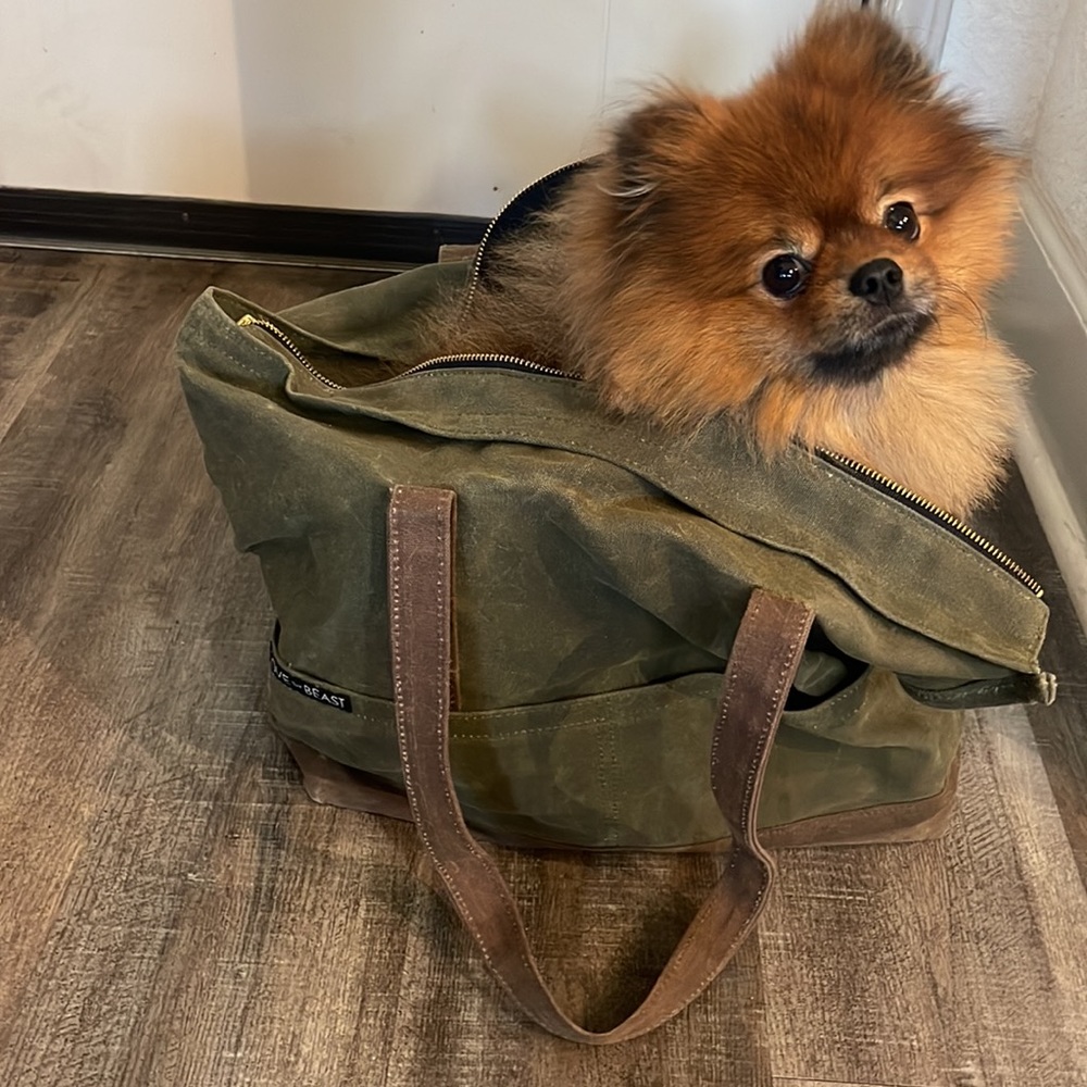 Love thy Beast dog waxed olive green carrier, size large